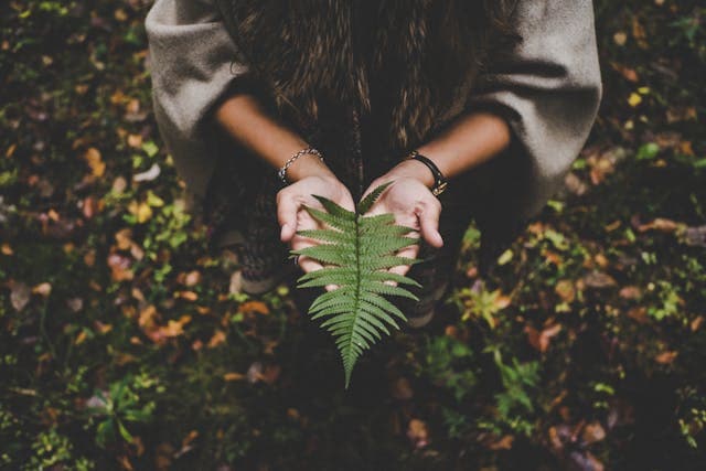 Woman holding leaf